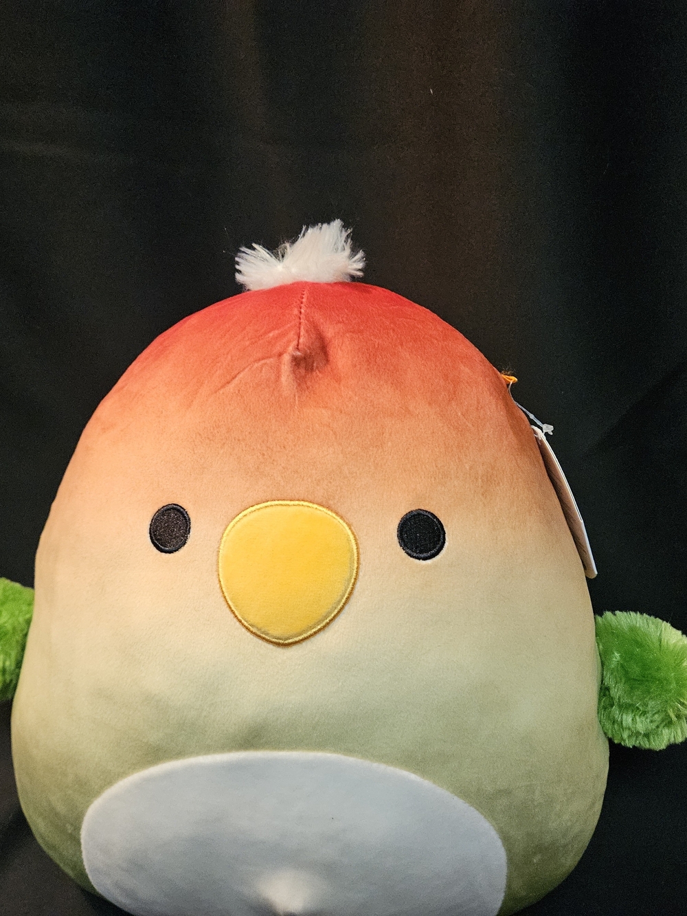 Squishmallow Elliene The Parrot